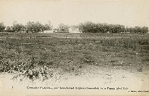 Abziza Field. B鮩-Mered, Algeria Abziza Field. B鮩-Mered, Algeria