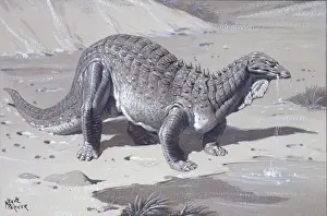 Armoured Dinosaurs Prints: Acanthopholis