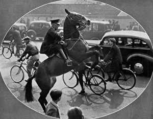 Accustoming a horse to traffic before the Coronation Accustoming a horse to traffic before the Coronation