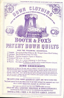 Advertisement, Booth & Foxs Patent Down Quilts Advertisement, Booth & Foxs Patent Down Quilts