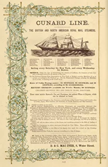 Advert, Cunard Line, Royal Mail steamers Advert, Cunard Line, Royal Mail steamers