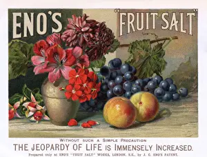 Early 20th Century Medicine Prints: Advert / Enos Salts
