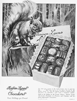 Advert for Maison Lyons chocolate, 1925 Advert for Maison Lyons chocolate, 1925