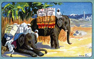 Advertising postcard for Owbridges Lung Tonic - India Advertising postcard for Owbridges Lung Tonic - India