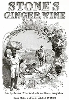 Advertisement for Stone's Ginger Wine'. Date: 1893 Advertisement for Stone's Ginger Wine'. Date: 1893