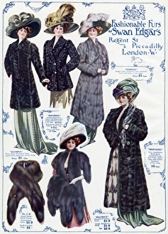 Advert for Swan & Edgars womens fur coats 1909 Advert for Swan & Edgars womens fur coats 1909