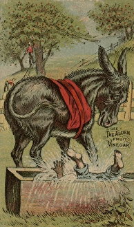 Advertising trade card for The Alden fruit vinegar Advertising trade card for The Alden fruit vinegar