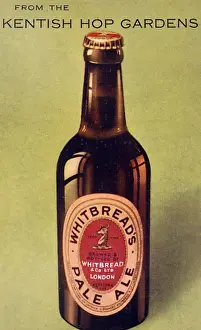 Whitbread Pale Ale Print circa 1900