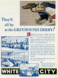 Advert for White City Greyhound Racing 1932 Advert for White City Greyhound Racing 1932