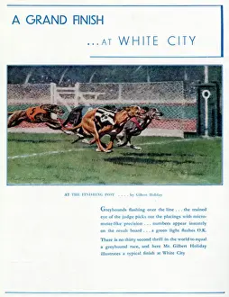 Dog Racing Prints: White City Greyhound Racing Print, 1937