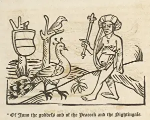 AESOP Fables Prints: Aesop / Juno and Peacock