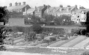 Alexanrda Terrace from Belmont, Exeter, Devon Alexanrda Terrace from Belmont, Exeter, Devon