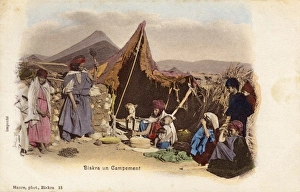 Algeria - Biskra - Nomadic Encampment Algeria - Biskra - Nomadic Encampment