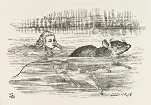 Lewis Carroll Illustrations Online Prints: Alice / The Pool of Tears