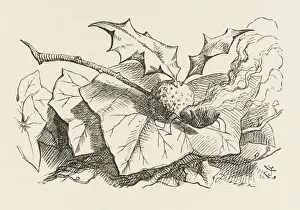 Alice In Wonderland Prints: Alice / Snap-Dragon-Fly
