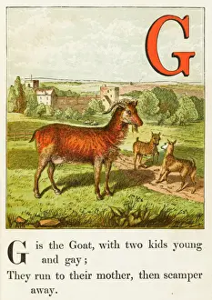 Goat Prints: Mary Evans Print: Goat with Two Kids