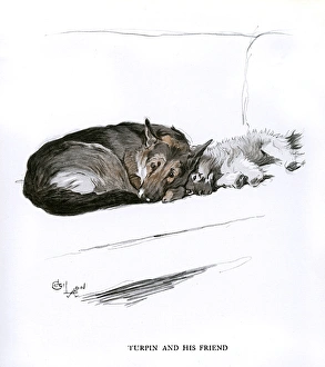 Alsatian and Sealyham terrier on a sofa Alsatian and Sealyham terrier on a sofa