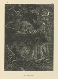 Prints of Plate 19 taken from The Life and Habits of Wild Animals, illustrated with designs by Joseph Wolf, London 1874. Date: 1875 Related Prints: The Ambuscade Print, 1875