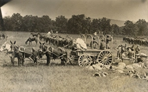 American cavalry soldiers in field, USA American cavalry soldiers in field, USA