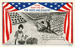 The American war effort at home - WWI The American war effort at home - WWI