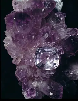 Mineral Specimen Photography Prints: Amethyst