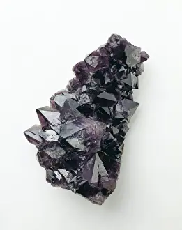 Prints of Amethyst is the purple variety of quartz and is a popular gemstone. This specimen is from Ontario, Canada and is displayed in the collections of the Natural History Museum, London Natural History Museum Prints: Amethyst Quartz Specimen Print, Ontario, Canada