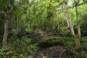 Amphitheatre-like structure built of black basalt Amphitheatre-like structure built of black basalt