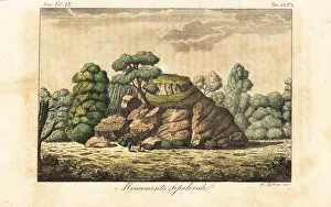 Ancient sepulchral monument in Germany Ancient sepulchral monument in Germany