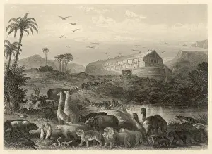 Animals Enter Noah's Ark Print