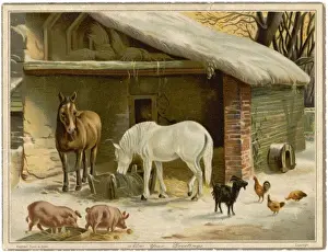 Historical Winter Scenes Prints: Animals Keeping Warm
