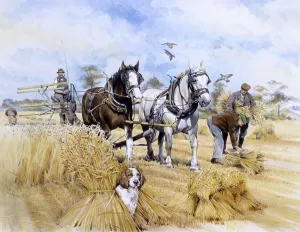 Farm Prints: Horse-drawn Harvester Print: Two Shire Horses at Work