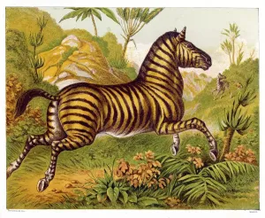 Prints of running amidst the African flora Animal Prints: Zebra Print amidst African Flora