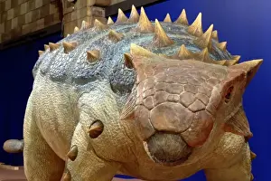 Extinct Herbivorous Dinosaurs Prints: Ankylosaurus