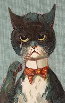 Anthropomorphic Humour Print - Louis Wain, 1903