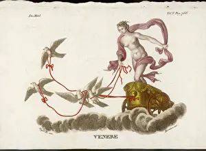 Prints of Aphrodite/Venus rides her chariot, drawn by doves, through the clouds Related Prints: Aphrodite/Venus in Dove-Drawn Chariot Print