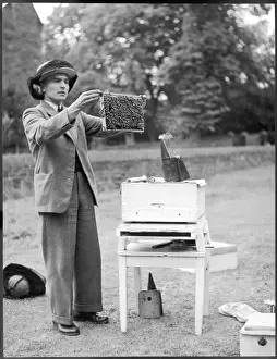 Apiculture Practices Prints: The Apiarist