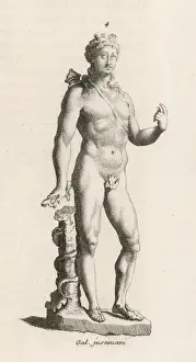 Apollo and Serpent Print