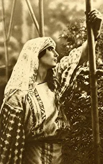 Arab woman of Algiers, Algeria, North Africa Arab woman of Algiers, Algeria, North Africa