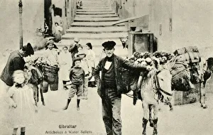 Artichoke and Water Sellers - Streets of Gibraltar Artichoke and Water Sellers - Streets of Gibraltar