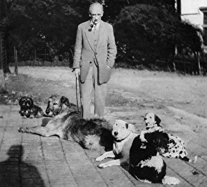 Artist Cecil Aldin and the Firm - his pet dogs Artist Cecil Aldin and the Firm - his pet dogs