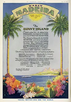 Madeira Island Prints: Atlantic Islands / Madeira