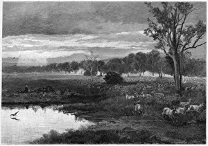 Australian Rural Landscape Photography Prints: Australia Darling Downs