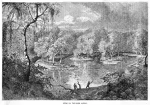 Murray River Australia Prints: Australia Murray River