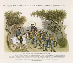 Tasmanian Convict Labour - Print