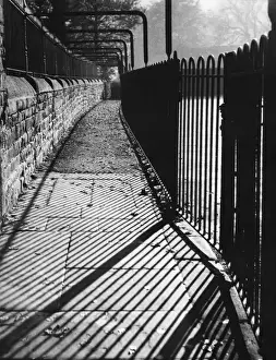 Autumn Scenery Prints: Autumn Shadows