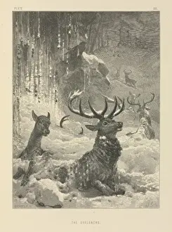 Victorian Era Animal Prints: The Avalanche