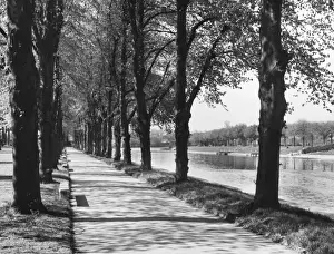 Worcestershire Landscape Photography Prints: Avenue of Trees