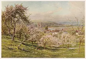 Prints of The Axe, Axmouth, Devon Axmouth Prints: Axmouth Village Print 1909