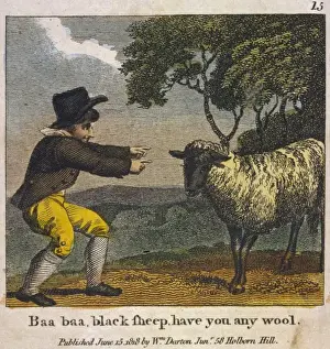 Black Sheep Print with Wool