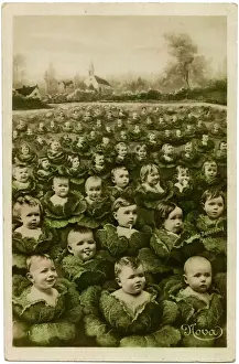 Children Prints: Cabbage Patch Babies Print circa 1900s